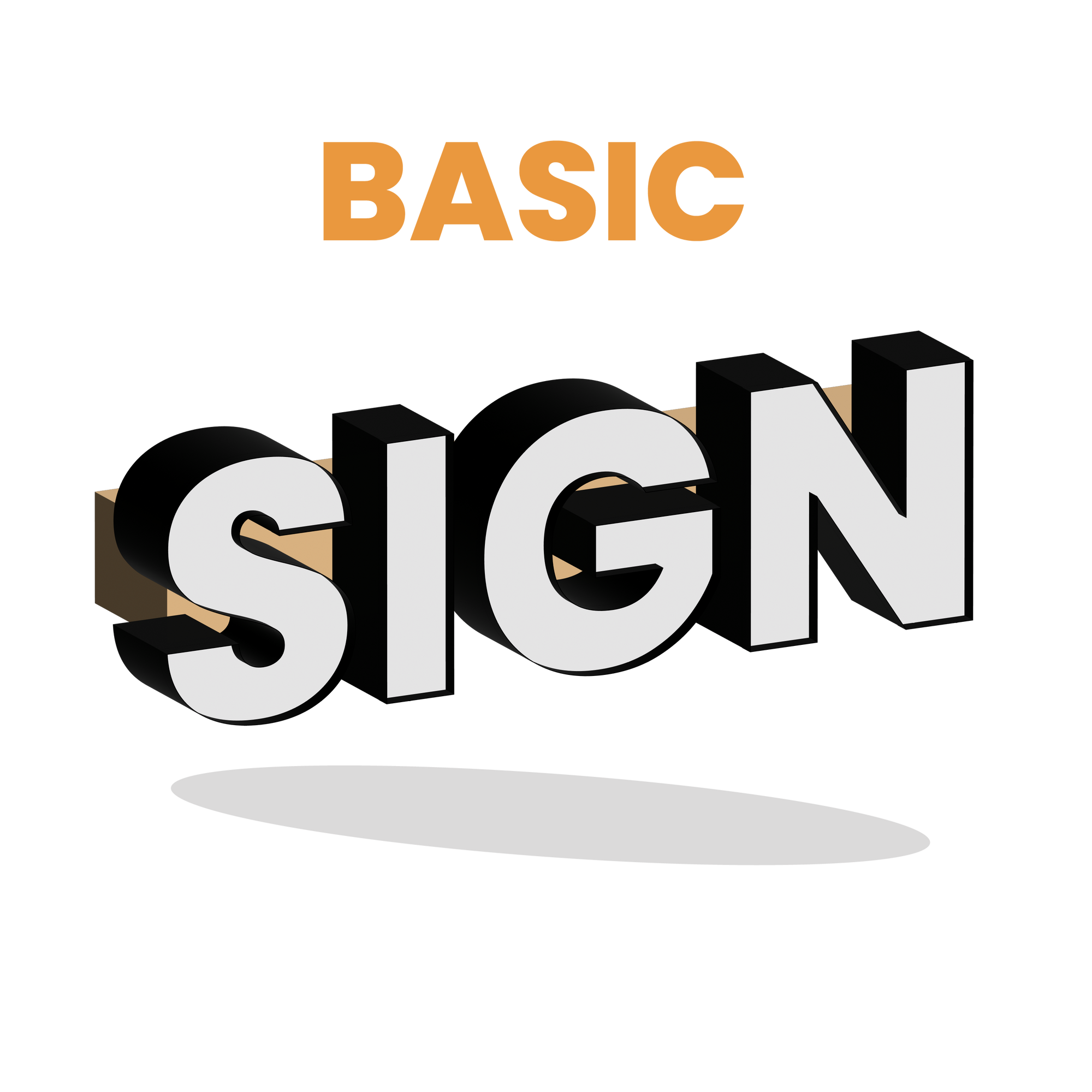 CHANNEL LETTER ON RACEWAY